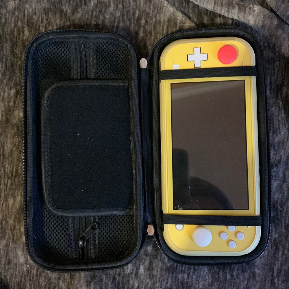 Nintendo switch lite